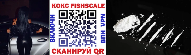 COCAIN Fish Scale  купить закладку  мега ТОР  Староминская 