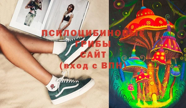 трава Елизово