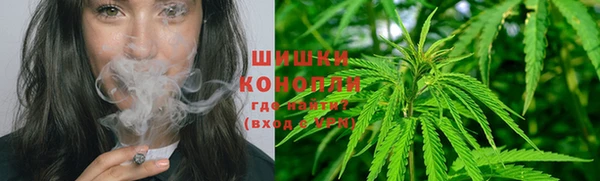 трава Елизово