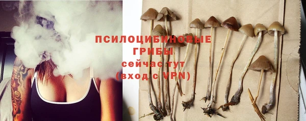 дмт Елабуга