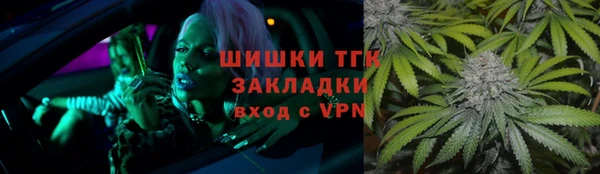 прущие крисы Ельня