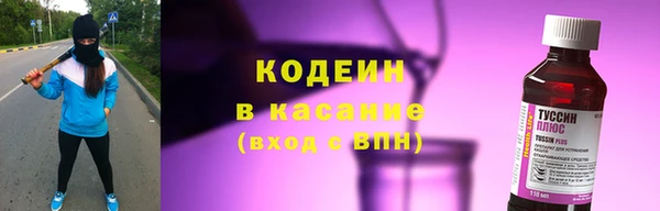 прущие крисы Ельня