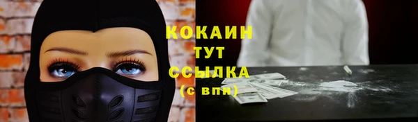 дмт Елабуга
