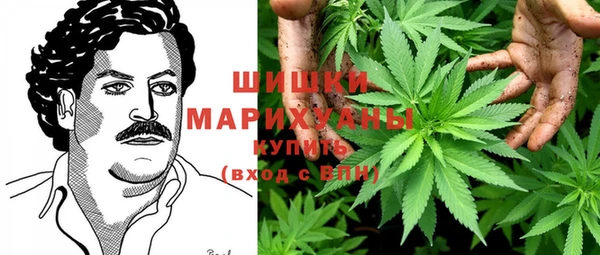 трава Елизово