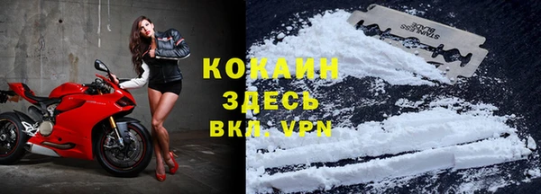 трава Елизово