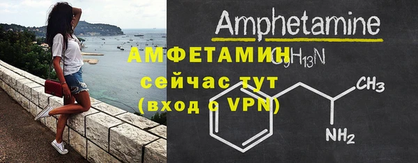 прущие крисы Ельня
