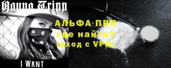 прущие крисы Ельня